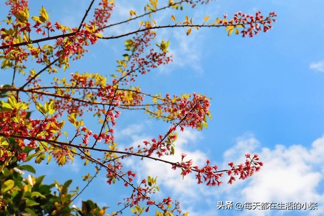 简单快乐慢节奏的生活方式_慢节奏生活的唯美句子_慢节奏才是享受生活